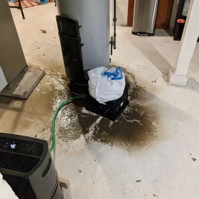 Sewage Backup Cleanup Service in Douglas County, WI